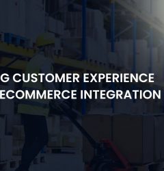 ecommerce integration services