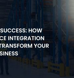 Ecommerce Integration Services